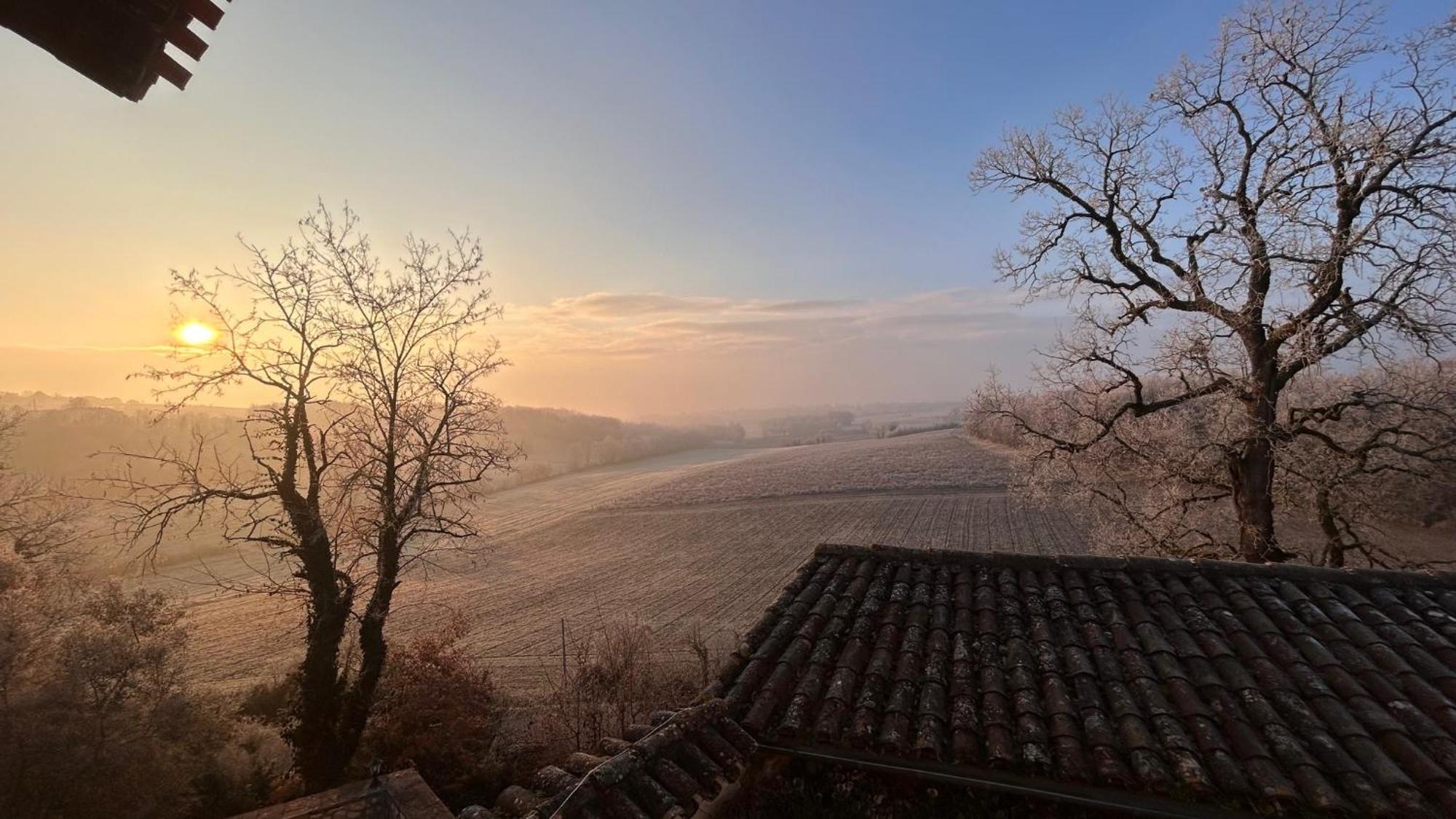 Chambres D'Hotes Dans Un Chateau Au Coeur De La Toscane Occitane Albi-Cordes-Rabastens Senouillac Buitenkant foto
